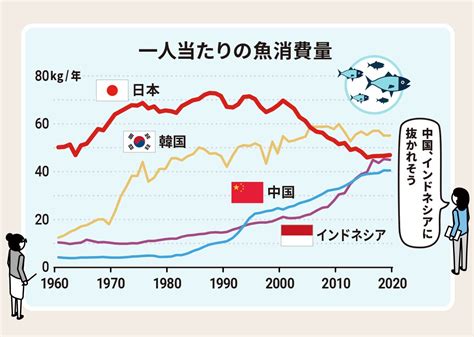 魚量|日本人1人当たりの年間魚介類消費量が22kgで過去最。